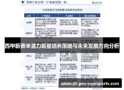 西甲新赛季潜力新星培养策略与未来发展方向分析