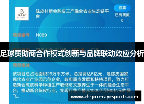足球赞助商合作模式创新与品牌联动效应分析 足球赞助商合作模式创新与品牌联动效应分析