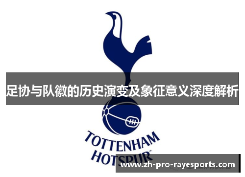 足协与队徽的历史演变及象征意义深度解析