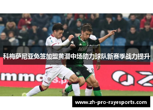 科梅萨尼亚免签加盟黄潜中场助力球队新赛季战力提升