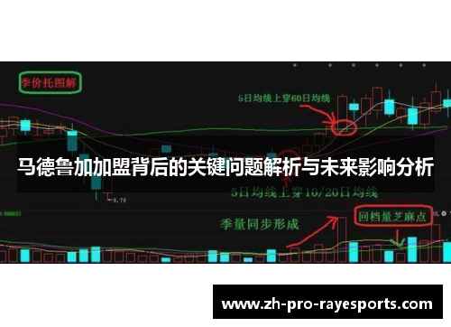 马德鲁加加盟背后的关键问题解析与未来影响分析 马德鲁加加盟背后的关键问题解析与未来影响分析