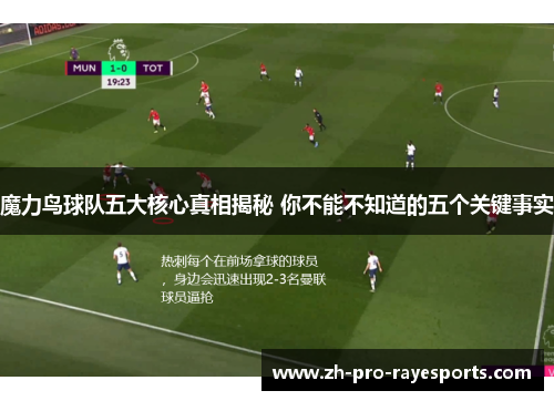 魔力鸟球队五大核心真相揭秘 你不能不知道的五个关键事实 魔力鸟球队五大核心真相揭秘 你不能不知道的五个关键事实