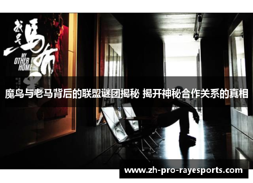魔鸟与老马背后的联盟谜团揭秘 揭开神秘合作关系的真相 魔鸟与老马背后的联盟谜团揭秘 揭开神秘合作关系的真相